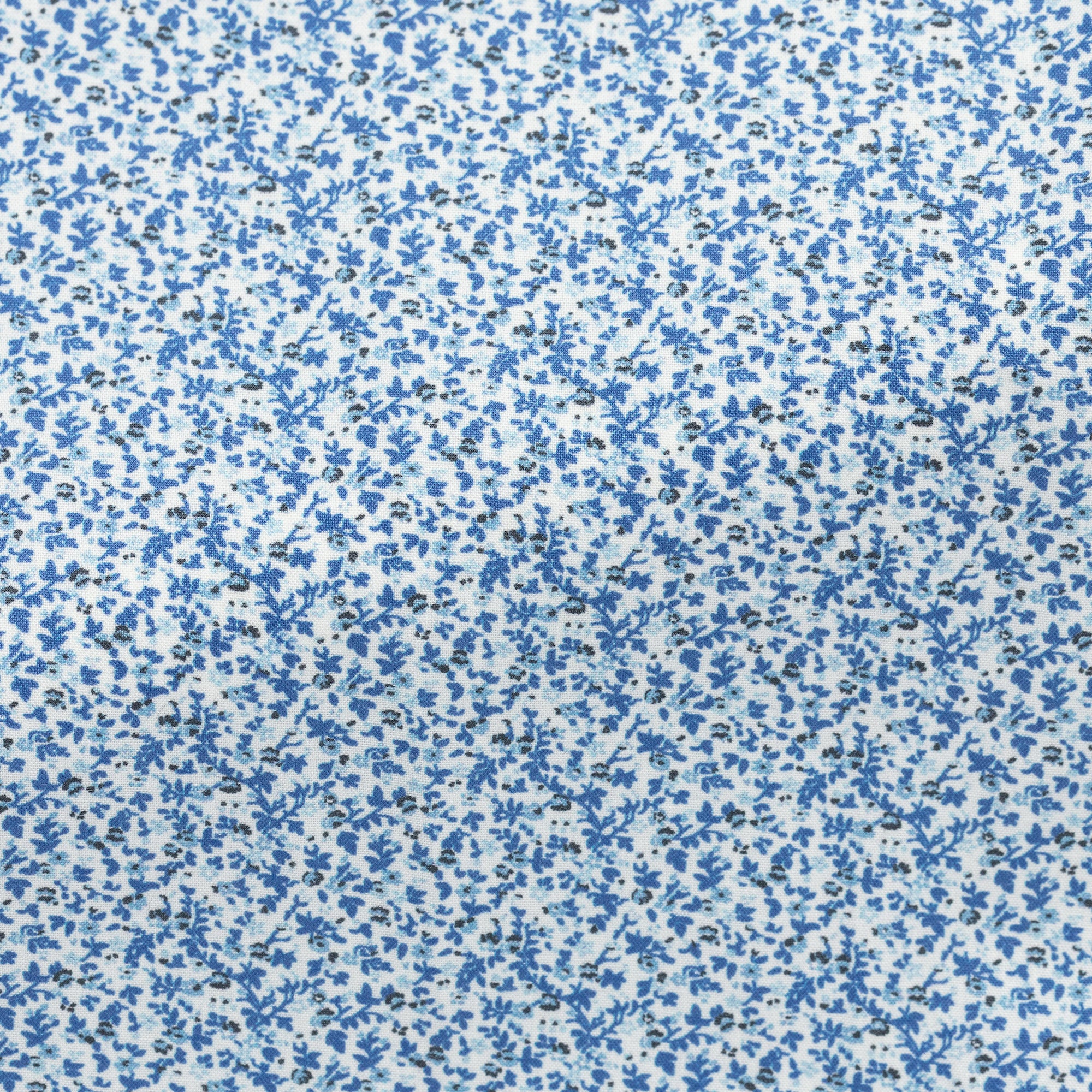 S0031